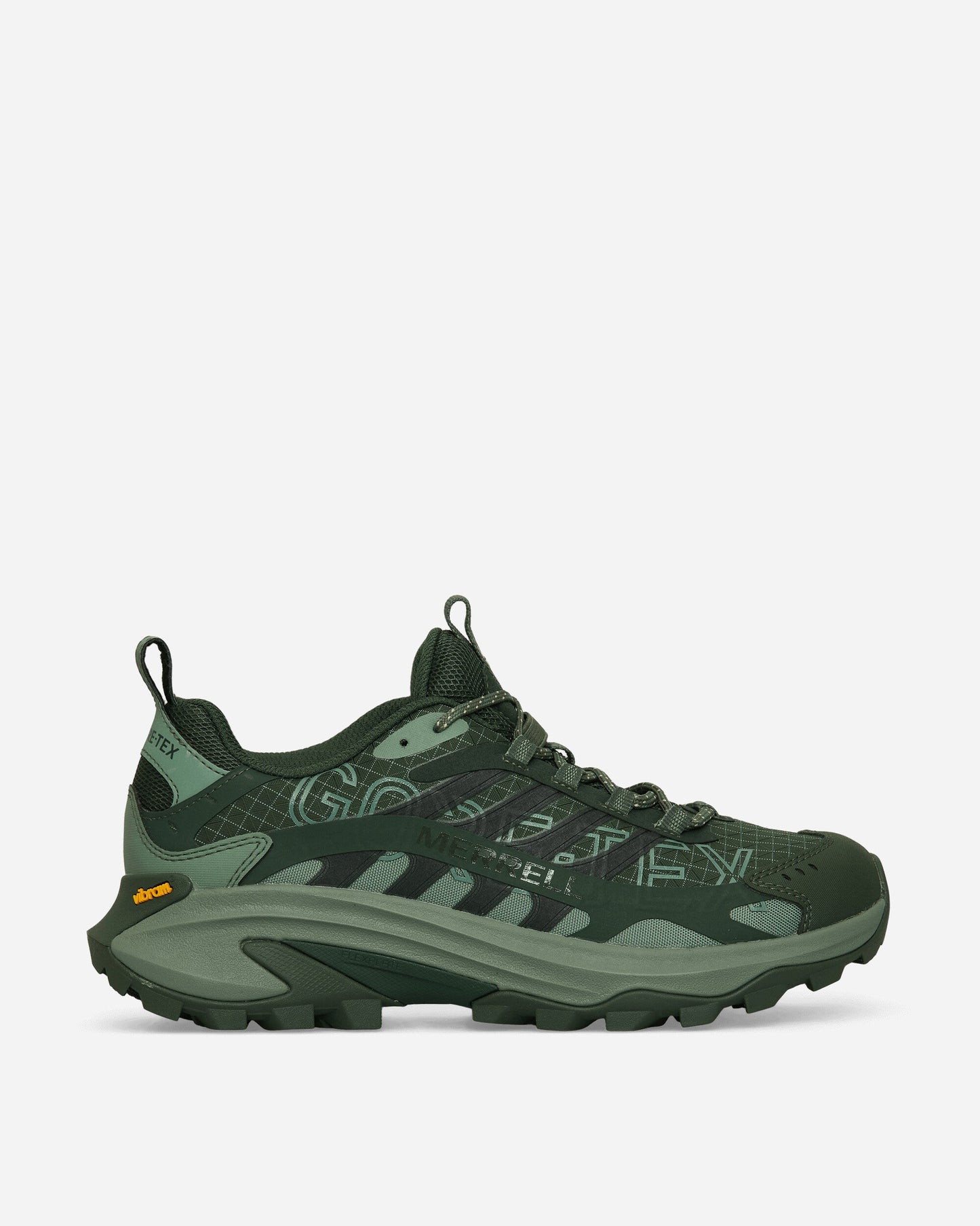 Moab Speed 2 GORE-TEX BL 1TRL Sneakers Viridian