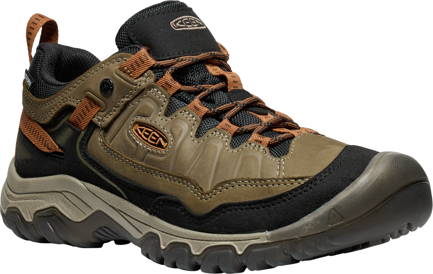 Keen Sea Turtle/Roasted Pecan Targhee IV Men's Waterproof Hiking Shoes 1030691