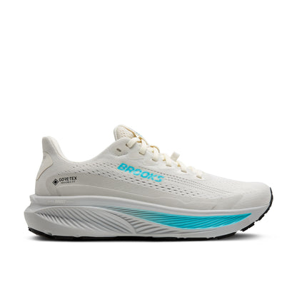 Brooks Ghost 17 GTX Women's Road Running Shoes
