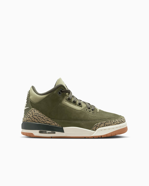 Air Jordan 3 Retro "Family Affair" (GS)