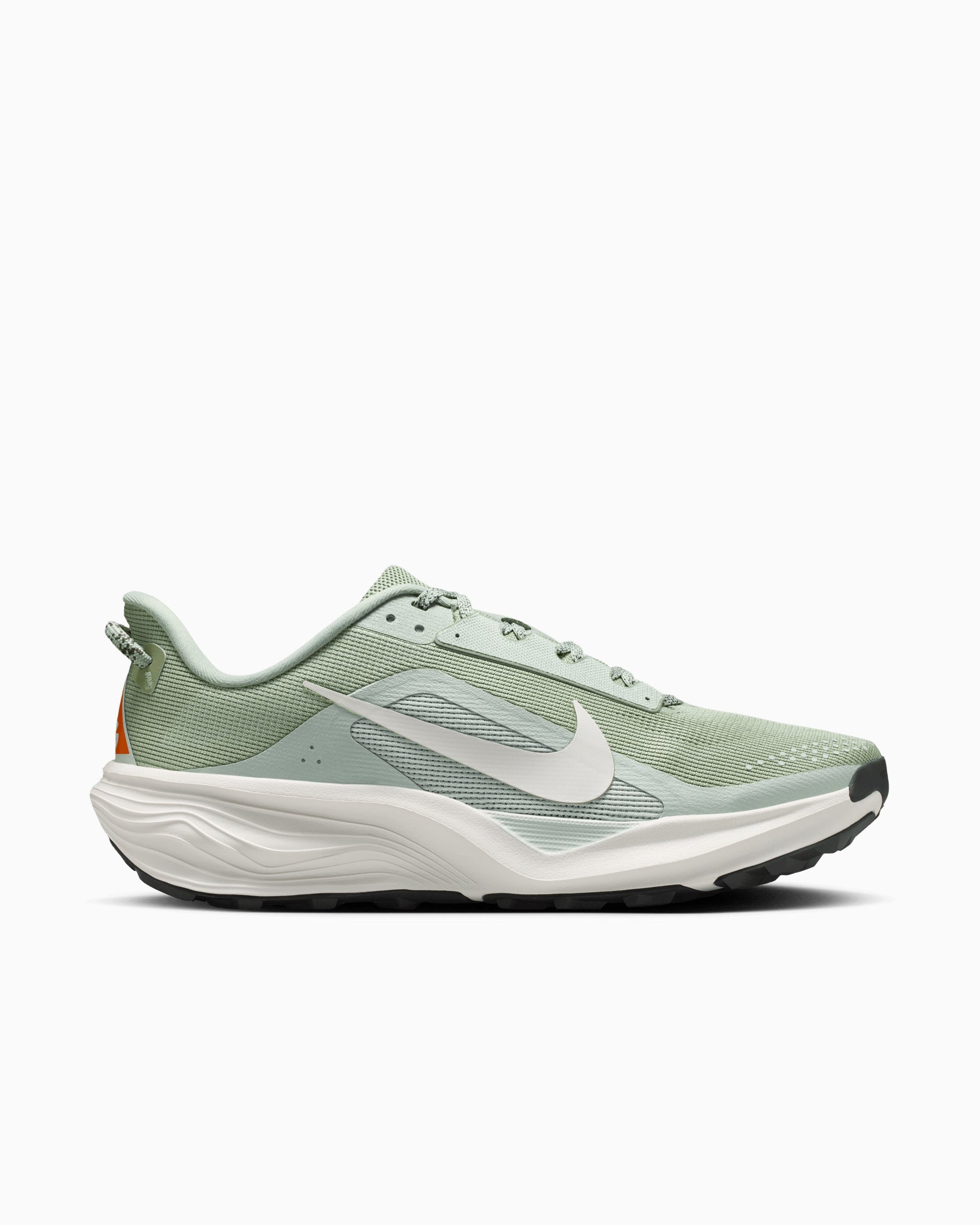 Nike ACG Pegasus Trail